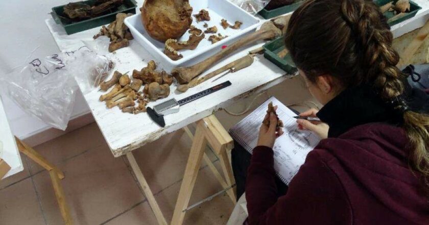 Balance provisional de la exhumación de fosas en un municipio gaditano: 45 cuerpos recuperados