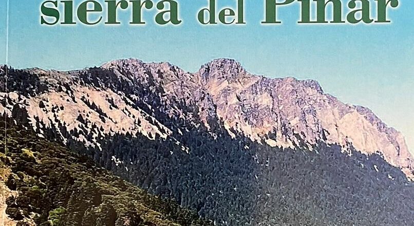 Historia de un pinsapar de raíces prehistóricas
