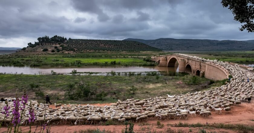 Convocadas ayudas para salvaguarda del patrimonio cultural inmaterial